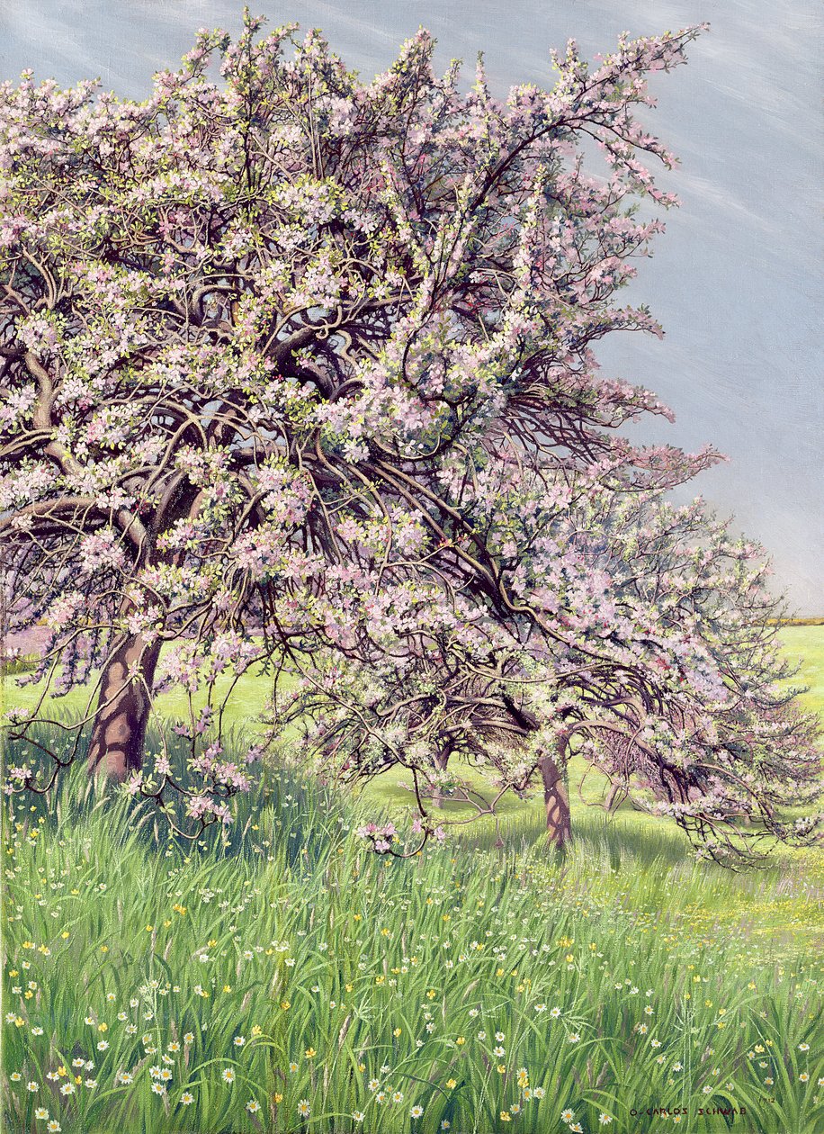 Meli in Fiore, 1912 da Carlos Schwabe