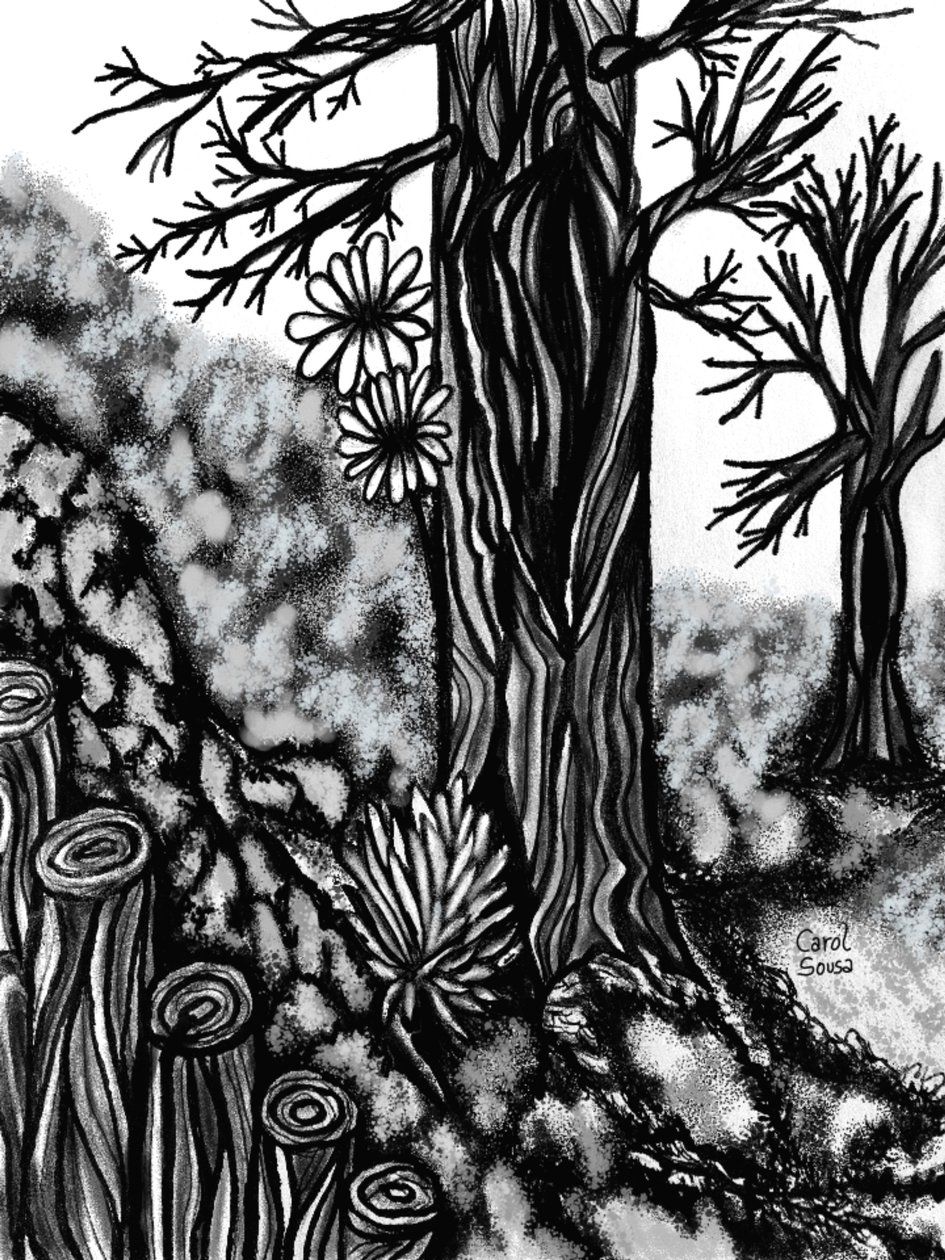Disegno al carboncino digitale 1 da Carol Sousa Cuello