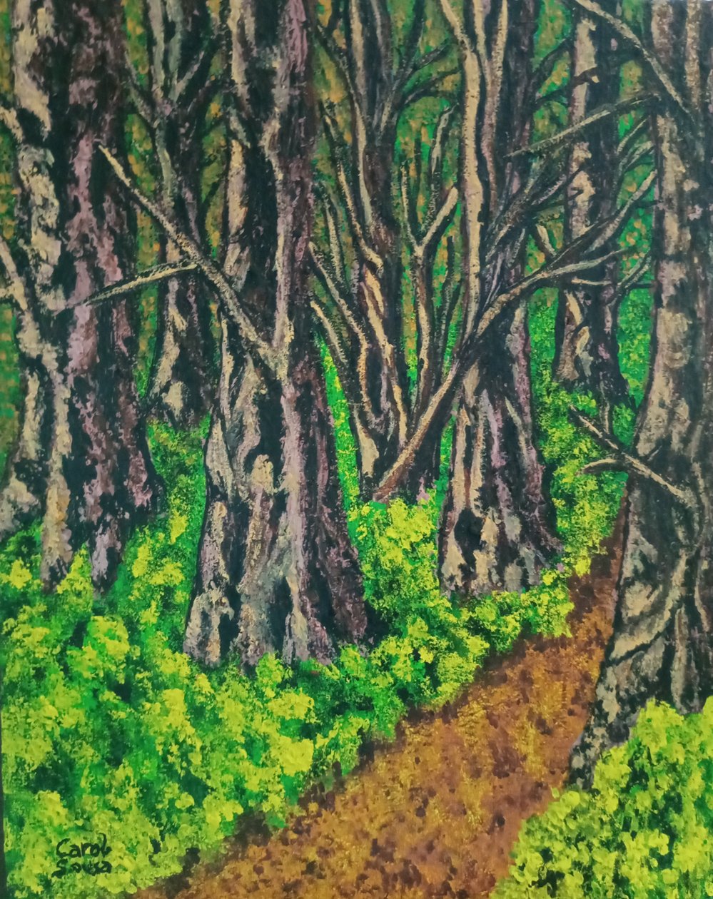 Sentiero nel bosco da Carol Sousa Cuello