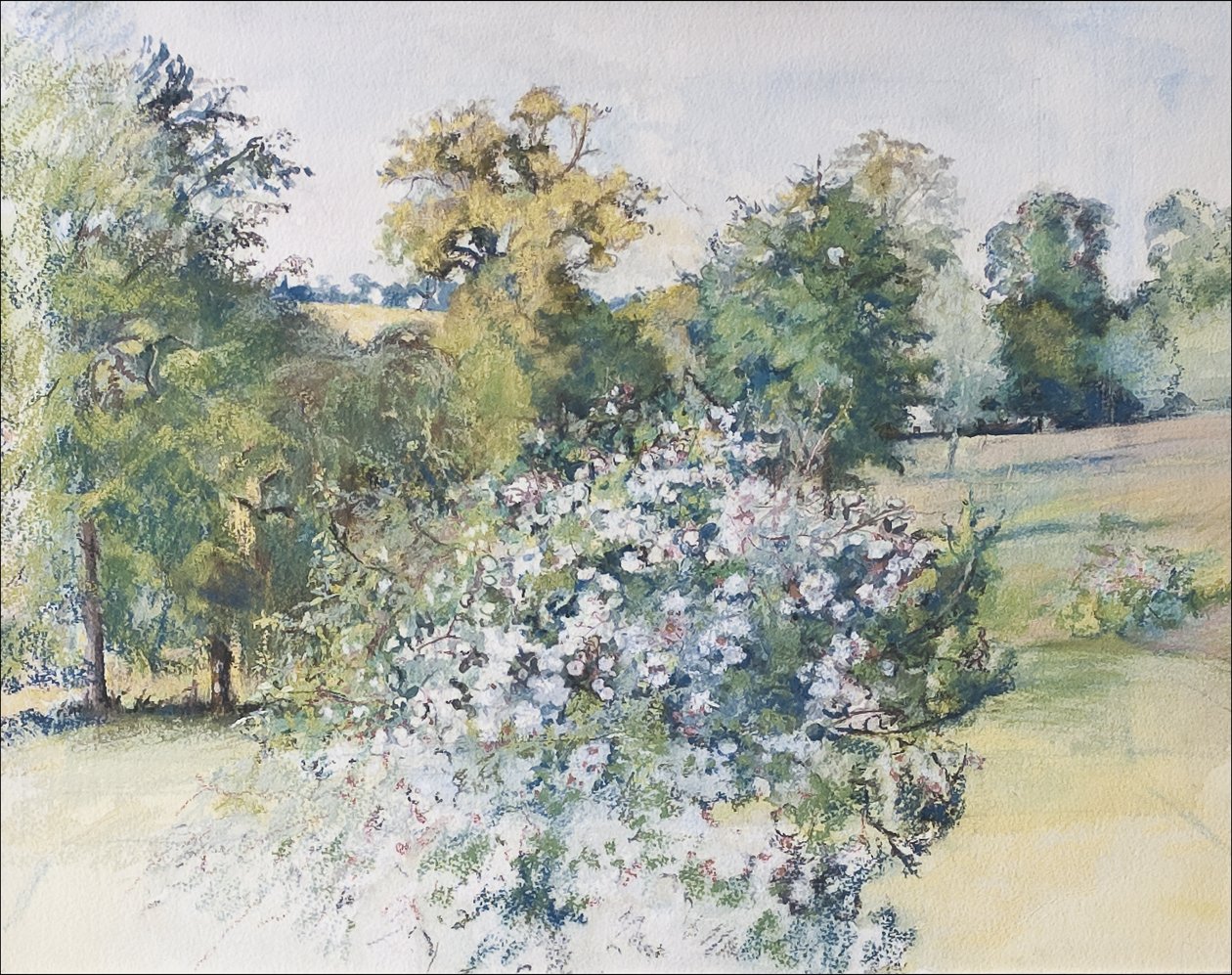 Giugno dalla nostra finestra, 2007 da Caroline Hervey Bathurst