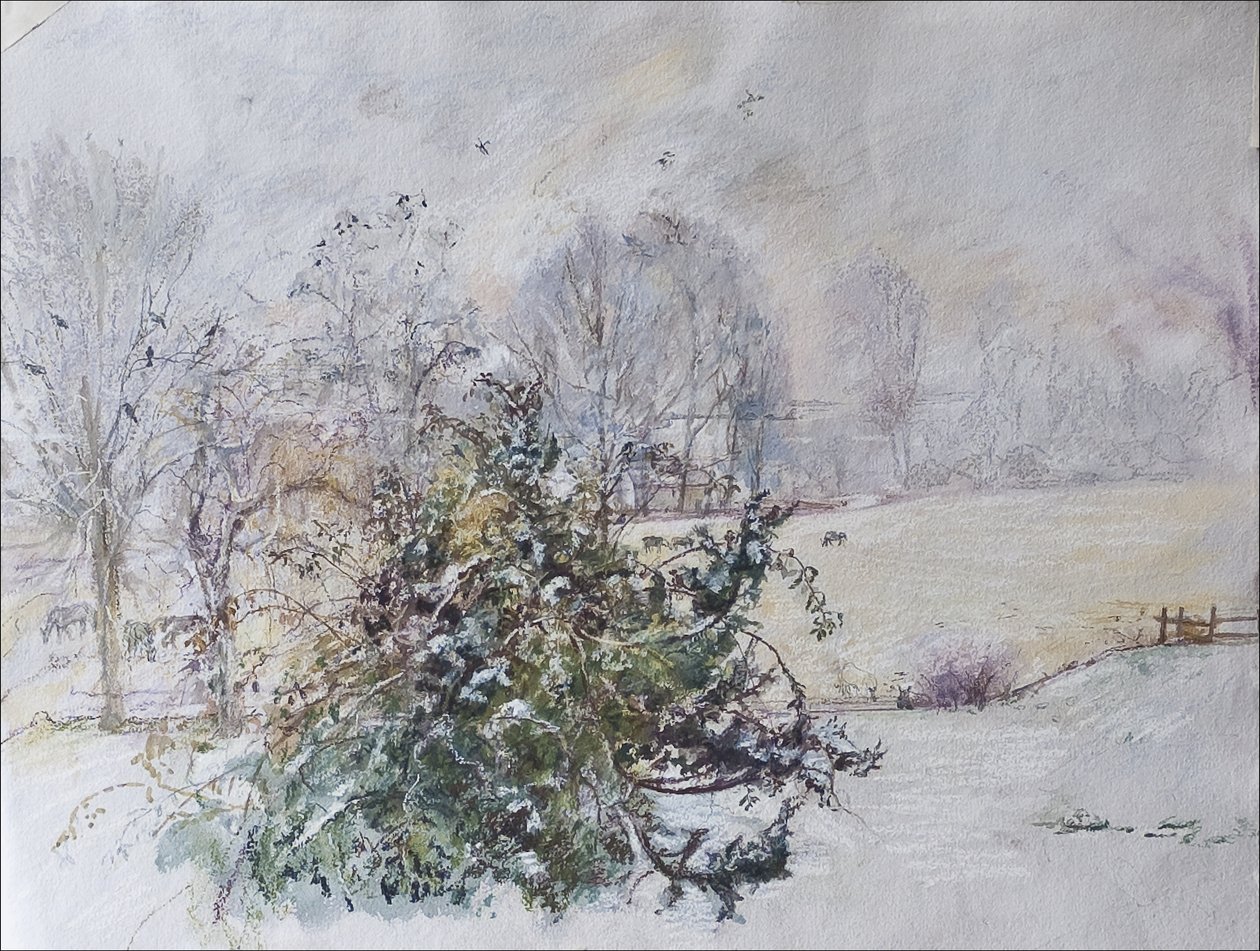 Inverno dalla nostra finestra, 2009 da Caroline Hervey Bathurst