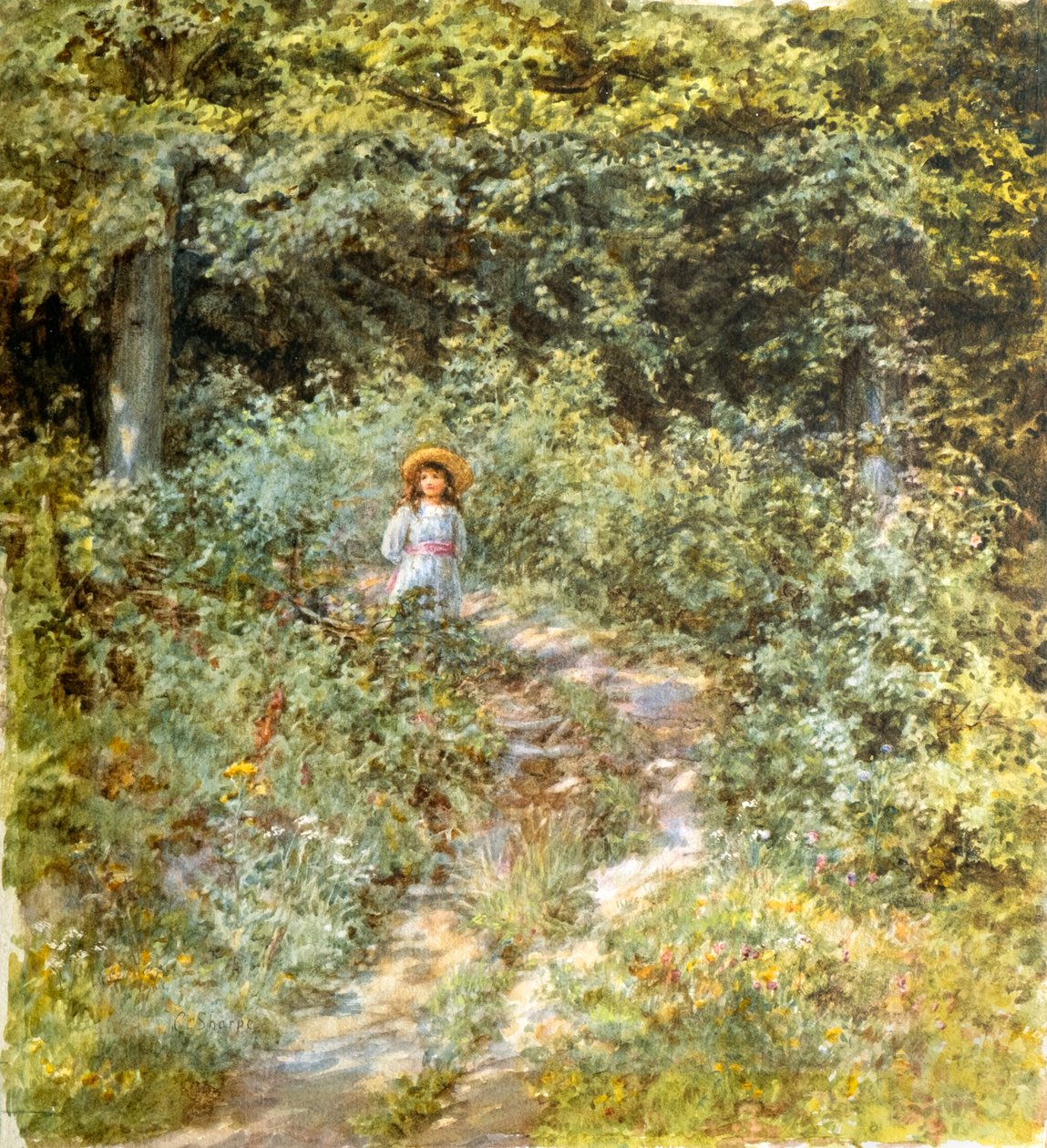 Il Sentiero nel Bosco da Caroline Paterson