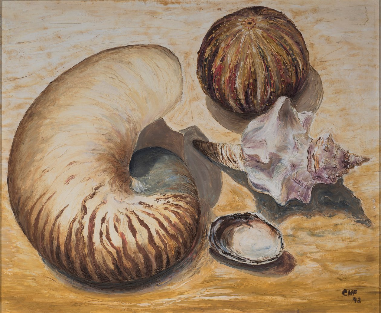 Conchiglie da Carolyn Hubbard Ford