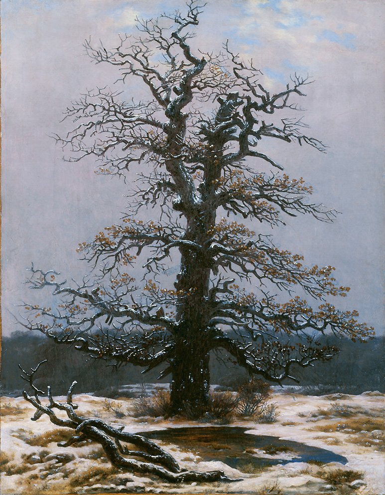 Quercia nella neve da Caspar David Friedrich