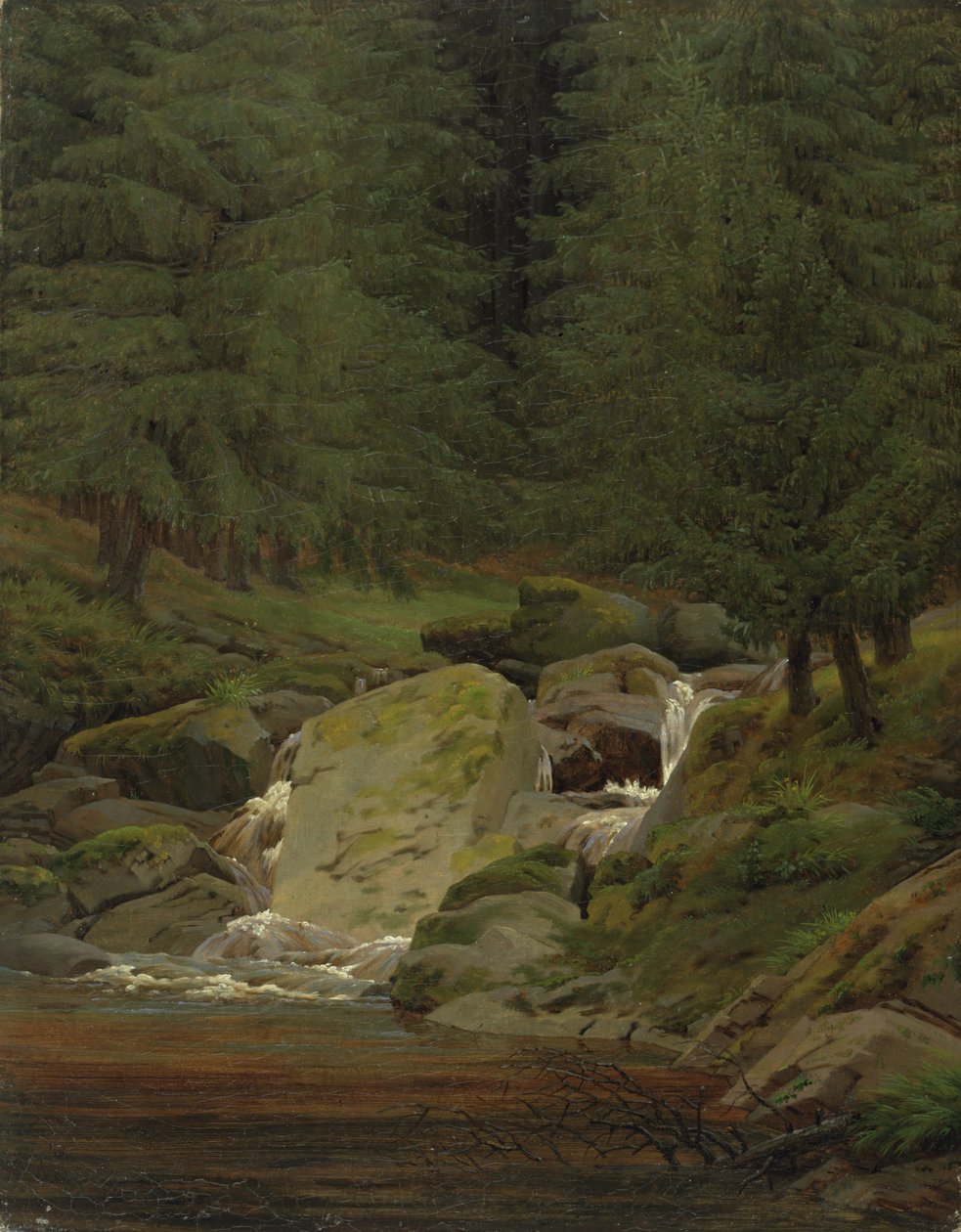 Gli sempreverdi vicino alla cascata da Caspar David Friedrich