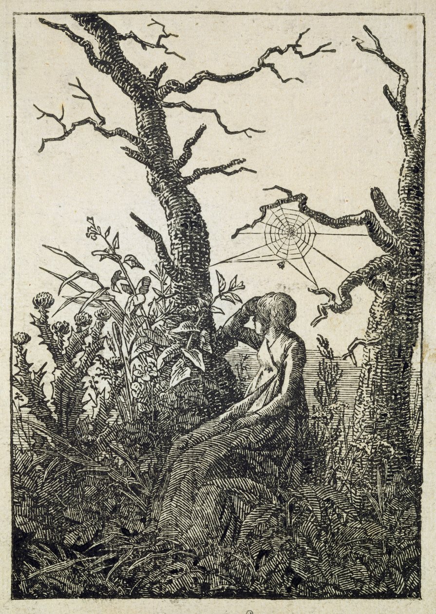 La Donna con una Ragnatela tra Alberi Spogli da Caspar David Friedrich