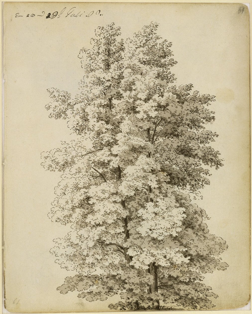 Gruppo di alberi da Caspar David Friedrich