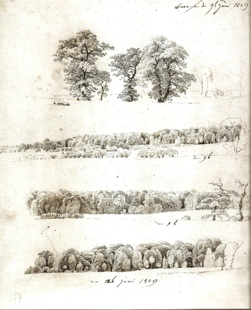 Studi sugli alberi 1809 da Caspar David Friedrich