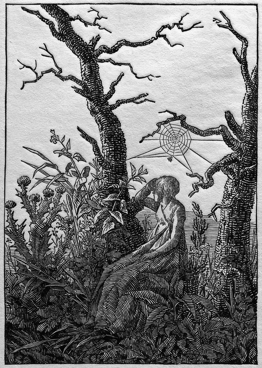 La donna con la ragnatela tra gli alberi spogli da Caspar David Friedrich