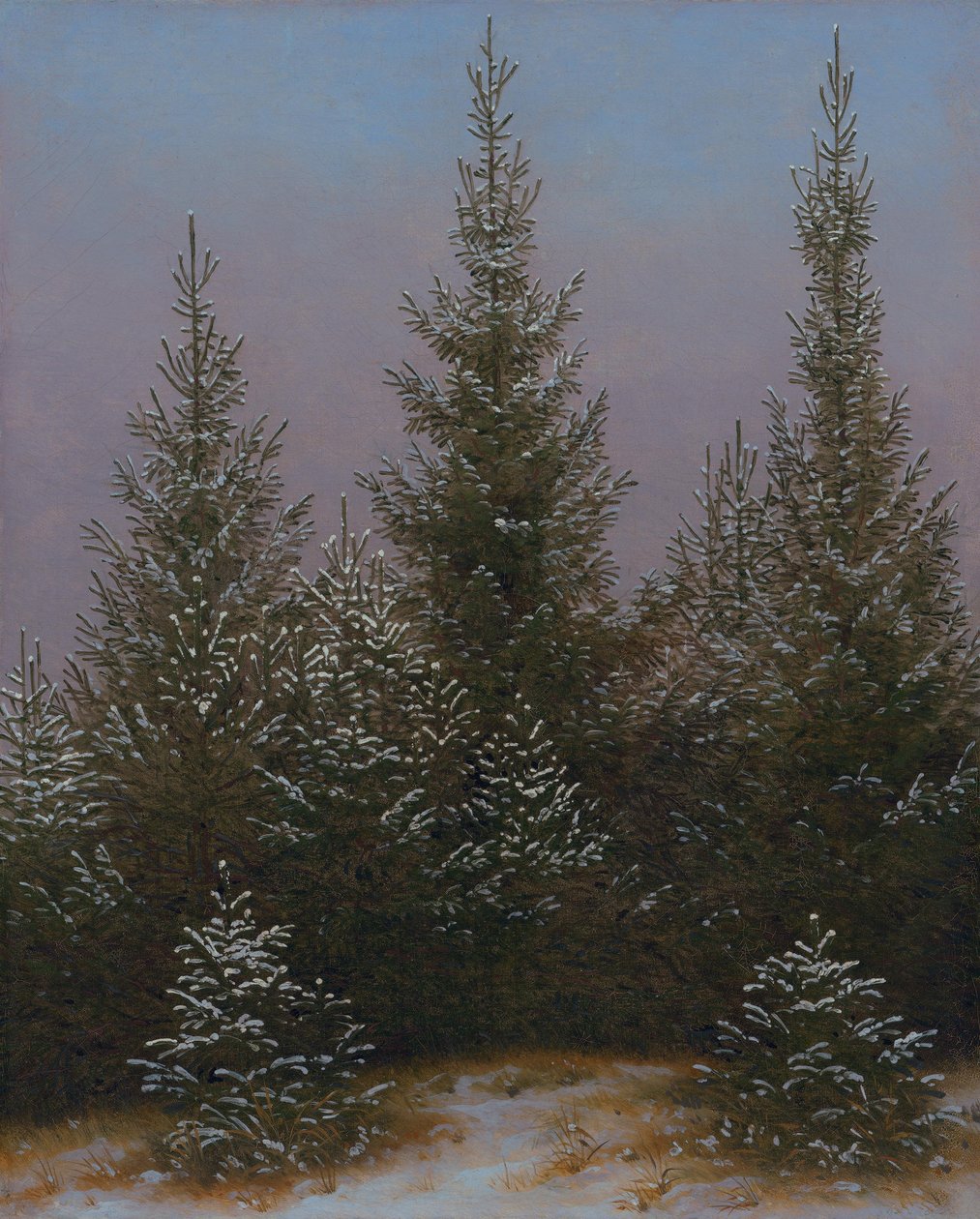 Boschetto di abeti rossi nella neve (Dalla brughiera di Dresda I) da Caspar David Friedrich