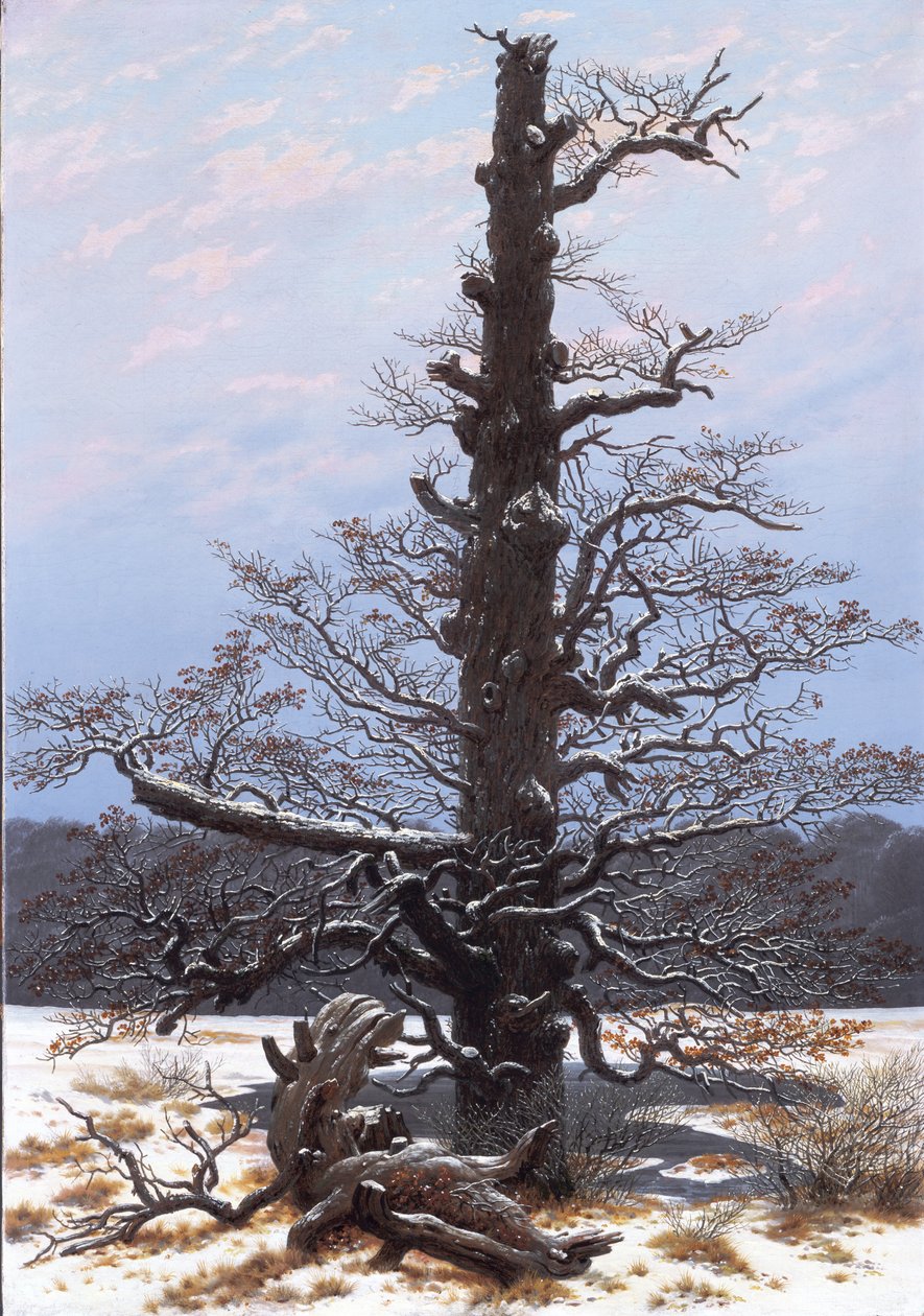 Tedesco: Eichbaum im Schnee La quercia nella neve da Caspar David Friedrich