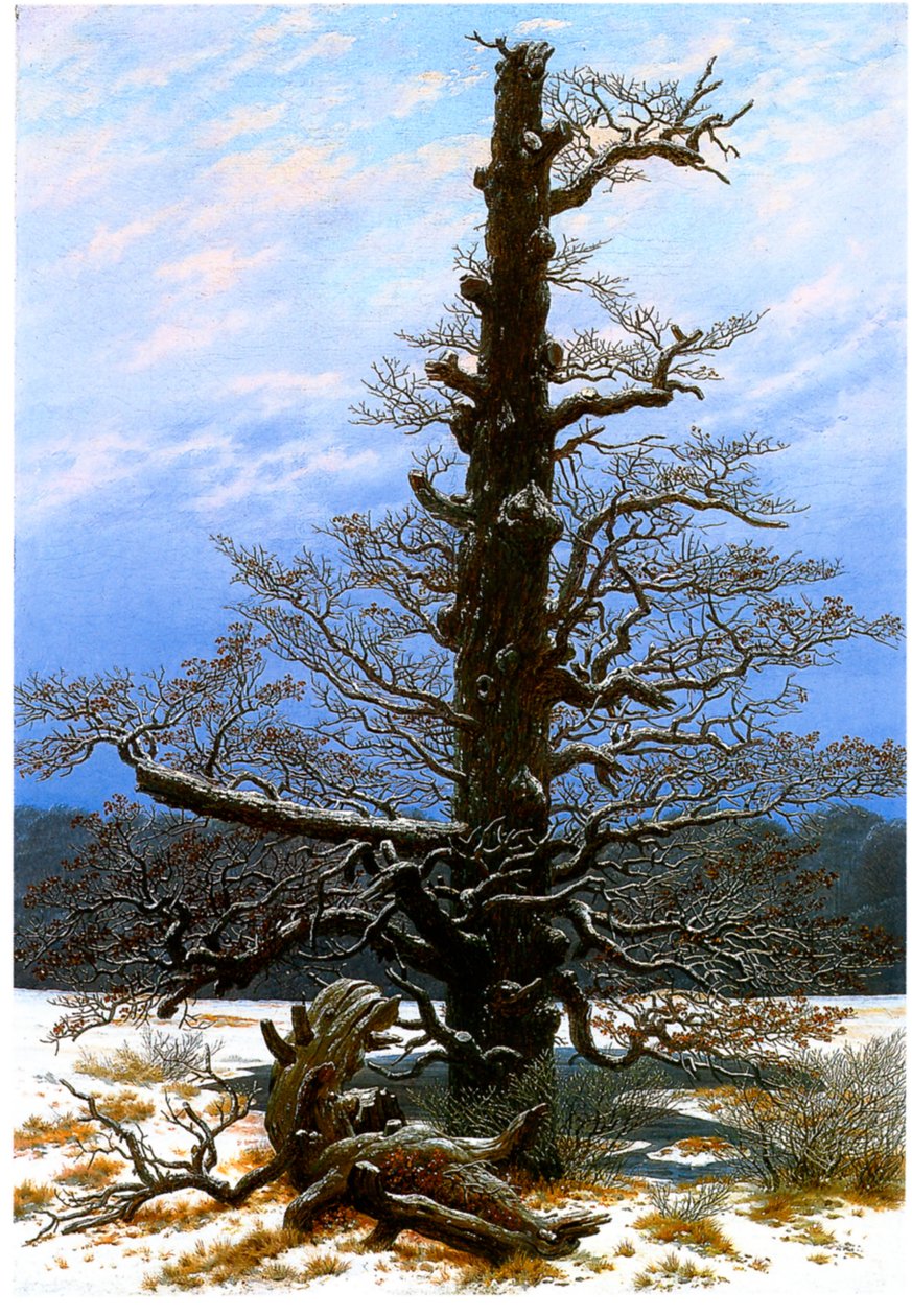 Tedesco: Eichbaum im Schnee La quercia nella neve da Caspar David Friedrich