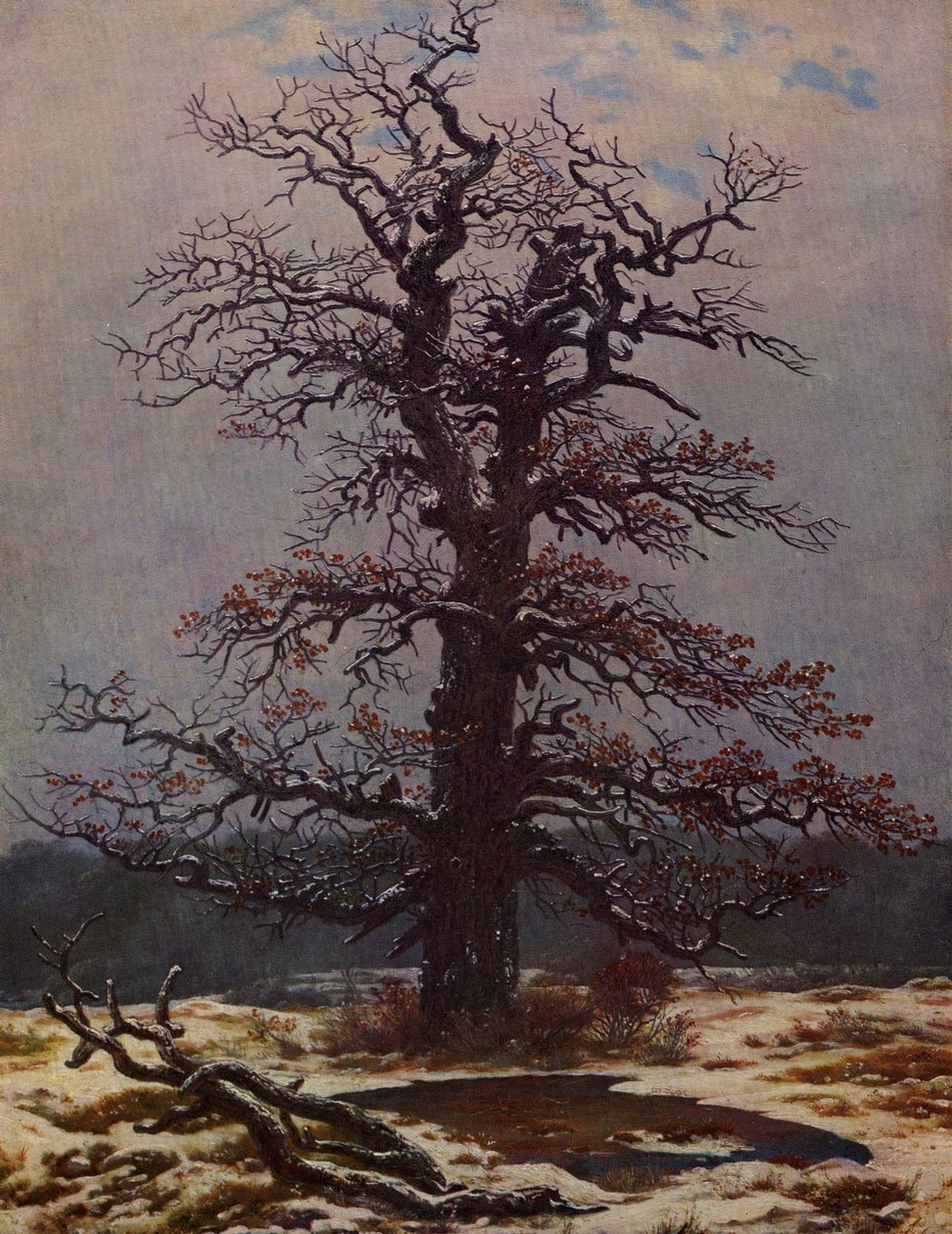 Quercia nella neve da Caspar David Friedrich