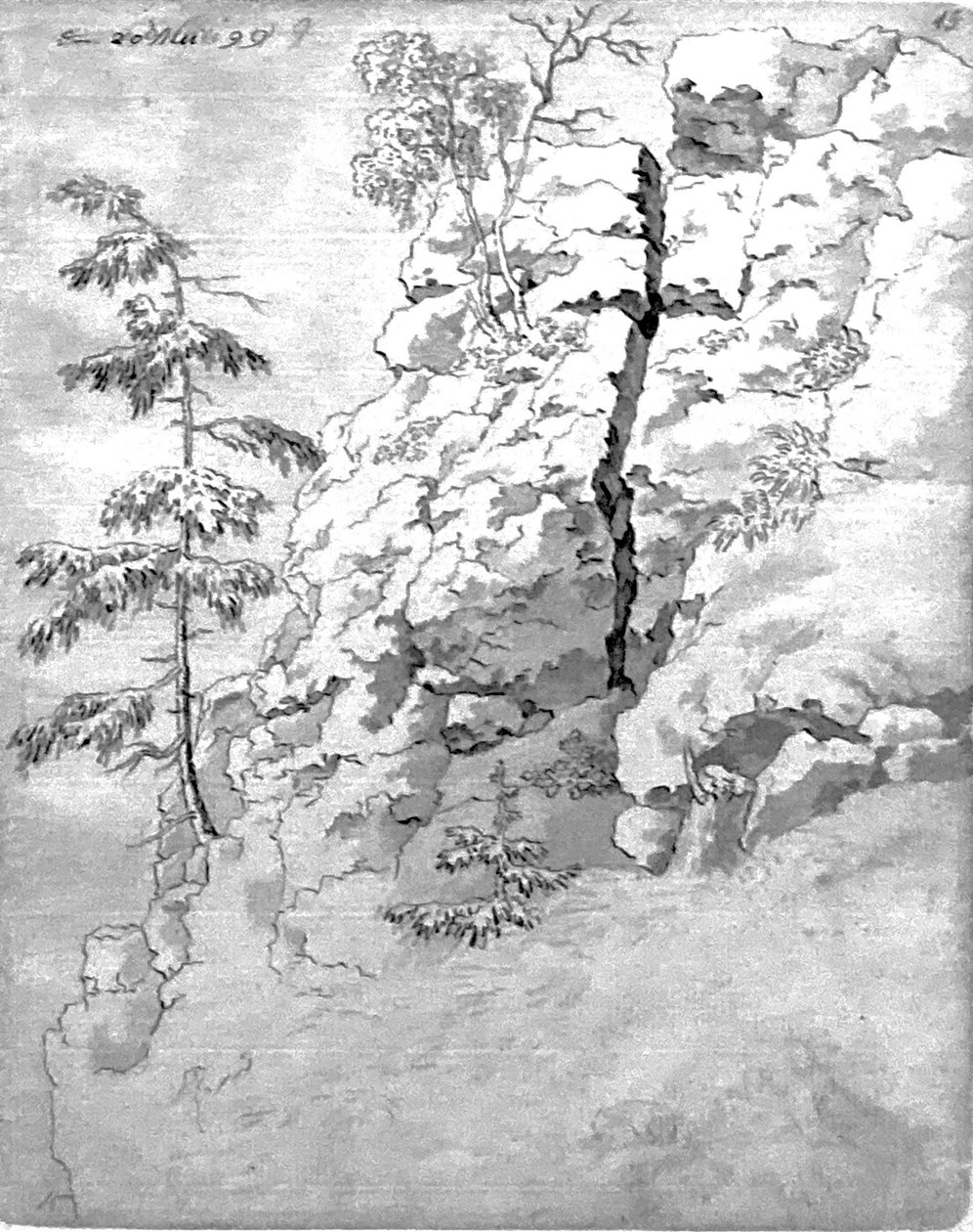 Versante roccioso con alberi da Caspar David Friedrich