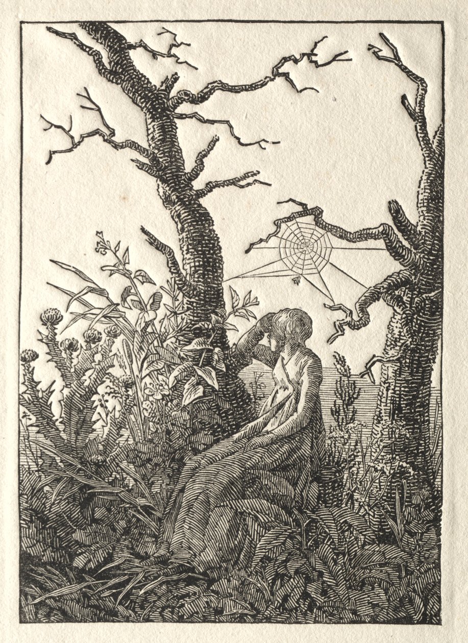 La donna con la ragnatela tra gli alberi spogli da Caspar David Friedrich