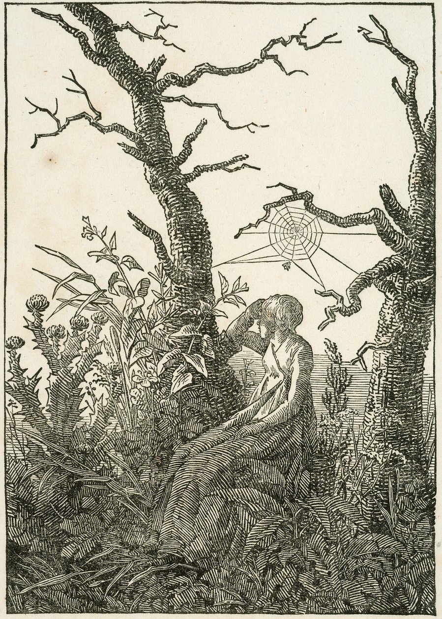 Donna con tela di ragno tra alberi spogli da Caspar David Friedrich