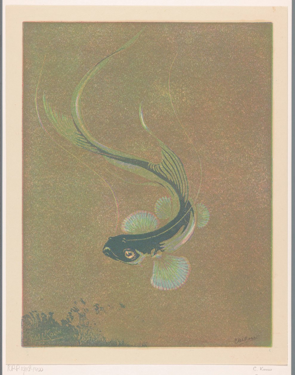 Pesce che nuota da Casper M.L. Kouw (signed by artist)