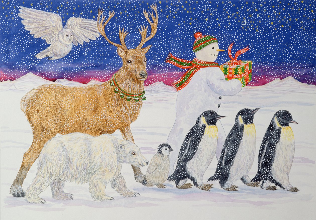 Un Regalo per Babbo Natale da Catherine Bradbury