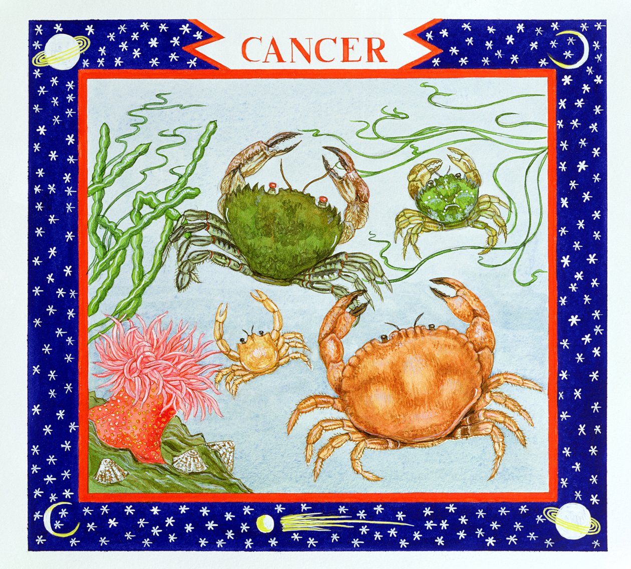 Cancro da Catherine Bradbury