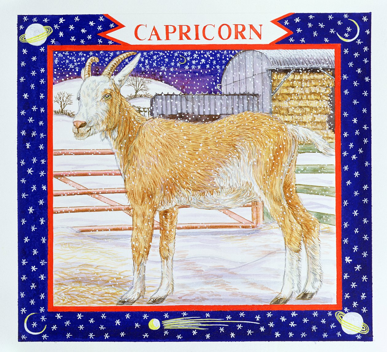 Capricorno da Catherine Bradbury