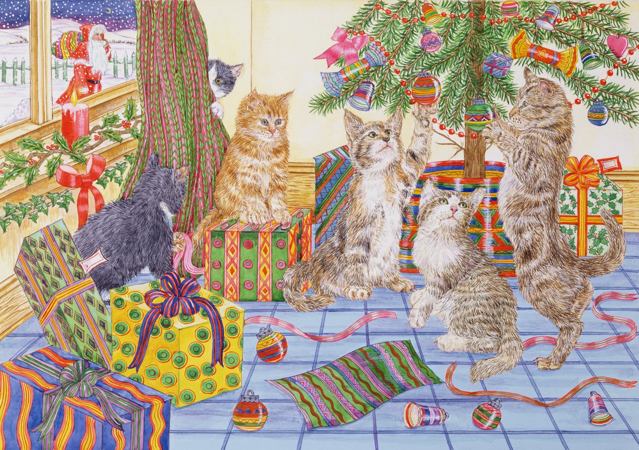 Il Natale dei gatti da Catherine Bradbury