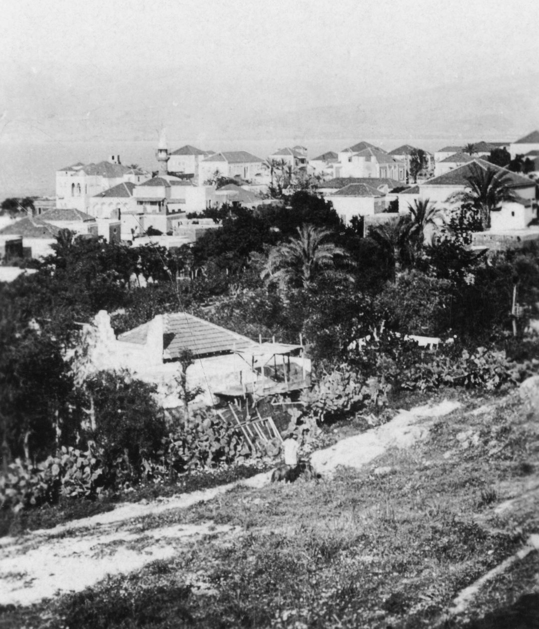 Beirut dal Collegio Americano, Libano, c. 1927-1931 da Cavanders Ltd