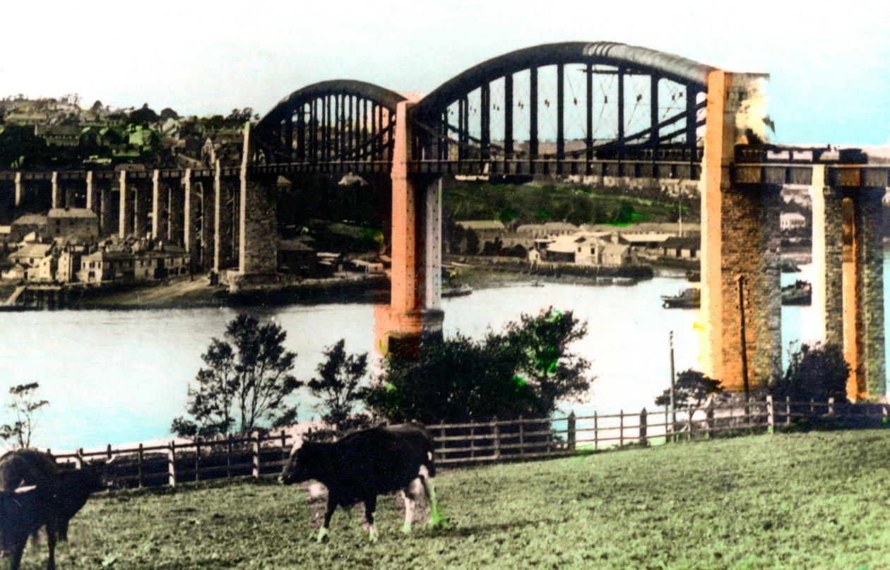 Il Ponte Reale Alberto, Saltash, Cornovaglia da Cavenders Ltd