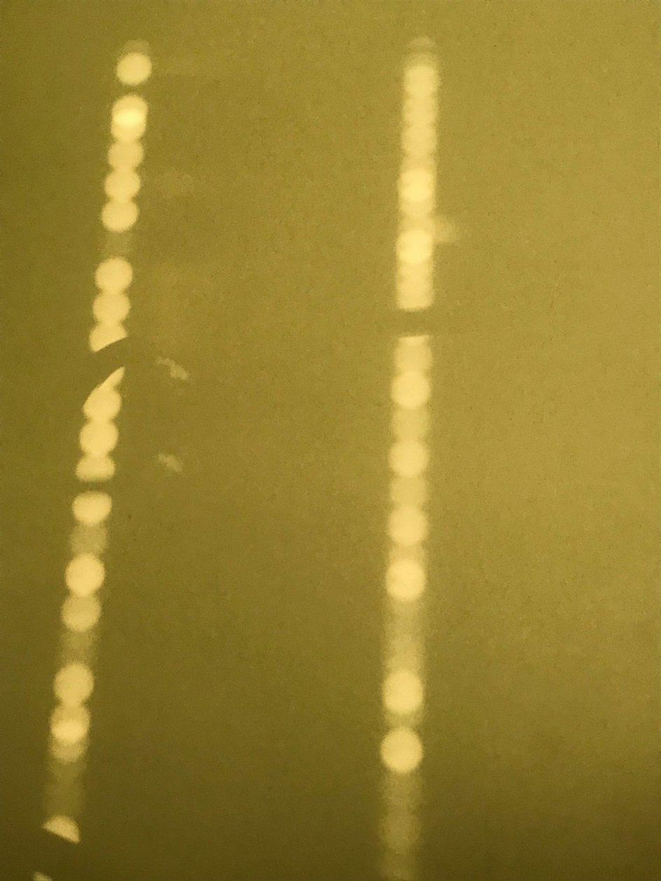 Composizione - Luce, 2019 (foto) da Cécile Jamet