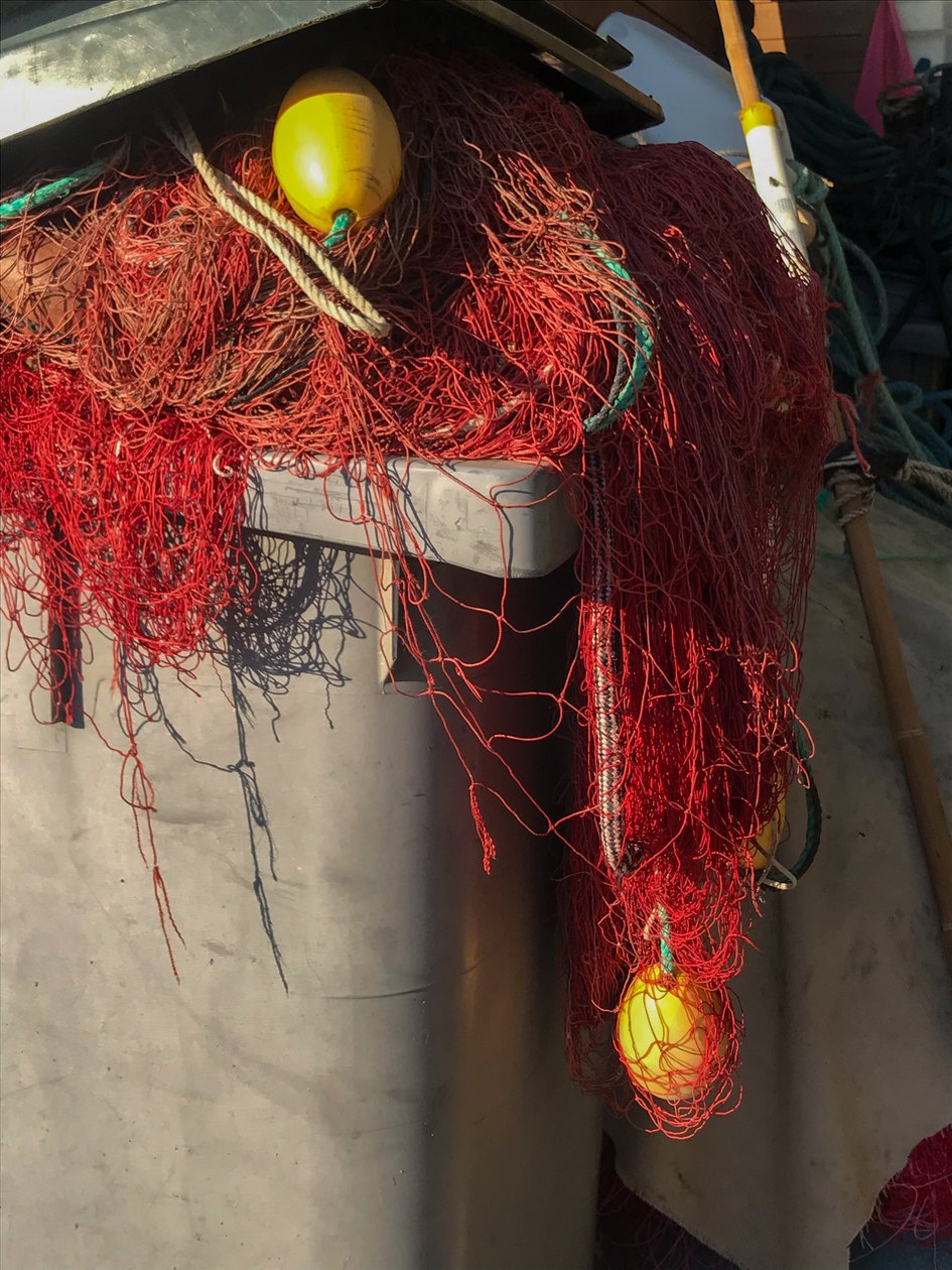 Composizione - Reti, 2019 (foto) da Cécile Jamet