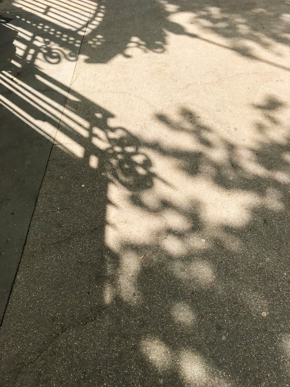 Composizione - Ombre, 2019 (foto) da Cécile Jamet