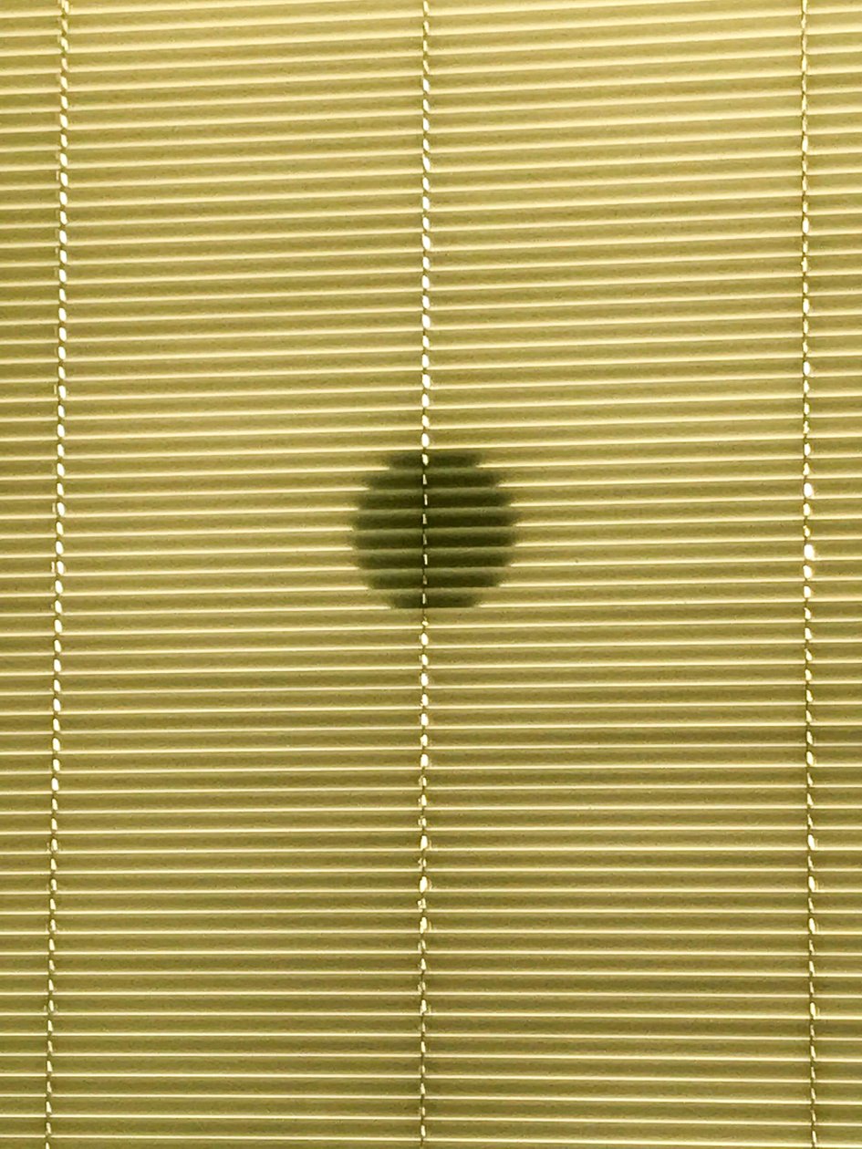 Composizione - Ombre, 2019 (foto) da Cécile Jamet