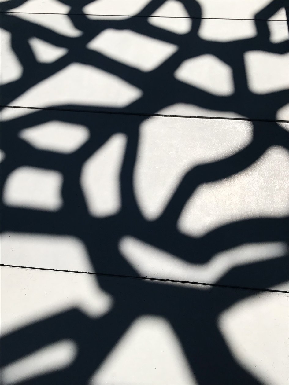 Composizione - Ombre, 2021 (foto) da Cécile Jamet