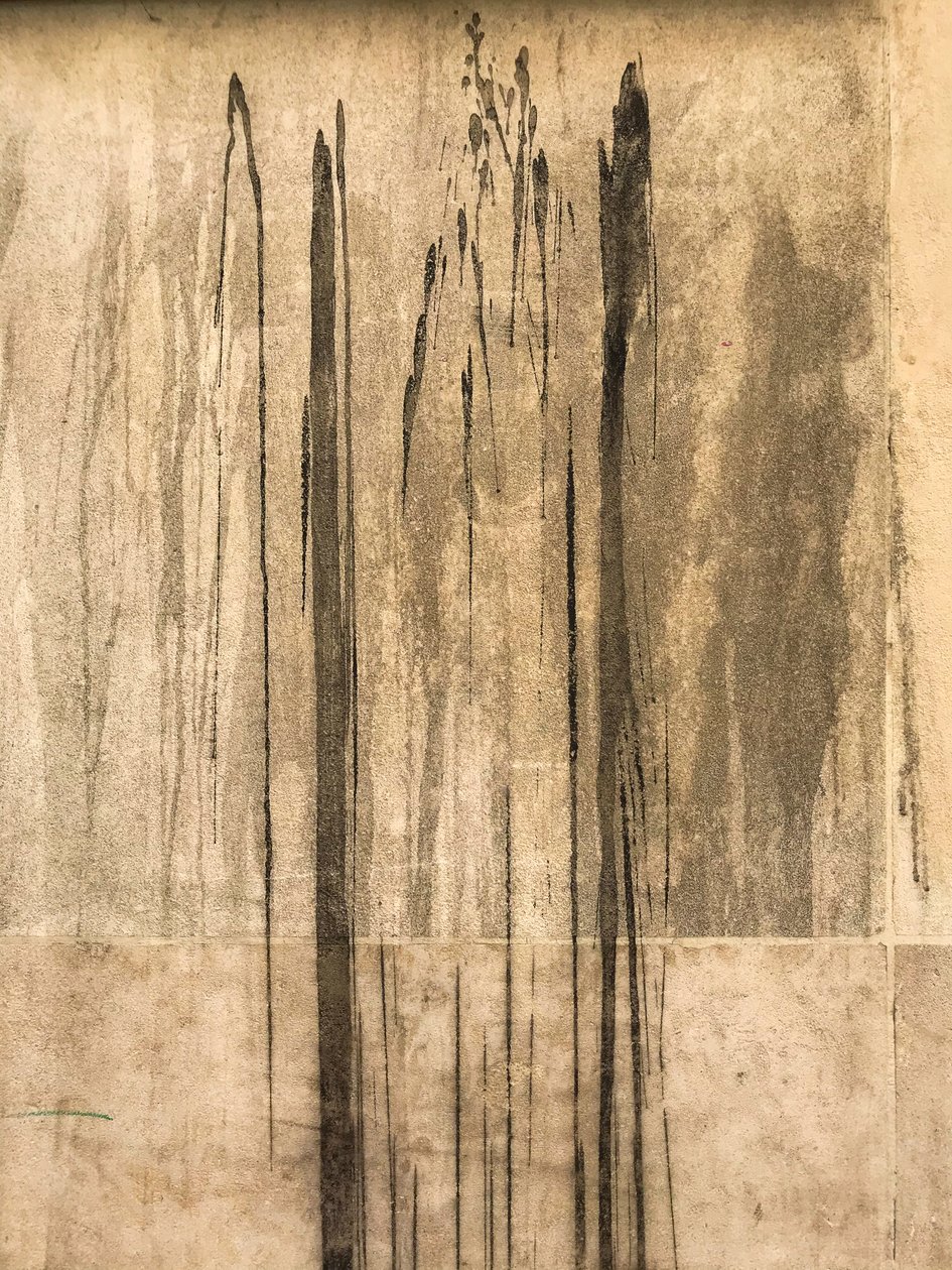 Composizione - Struttura, 2020 (foto) da Cécile Jamet