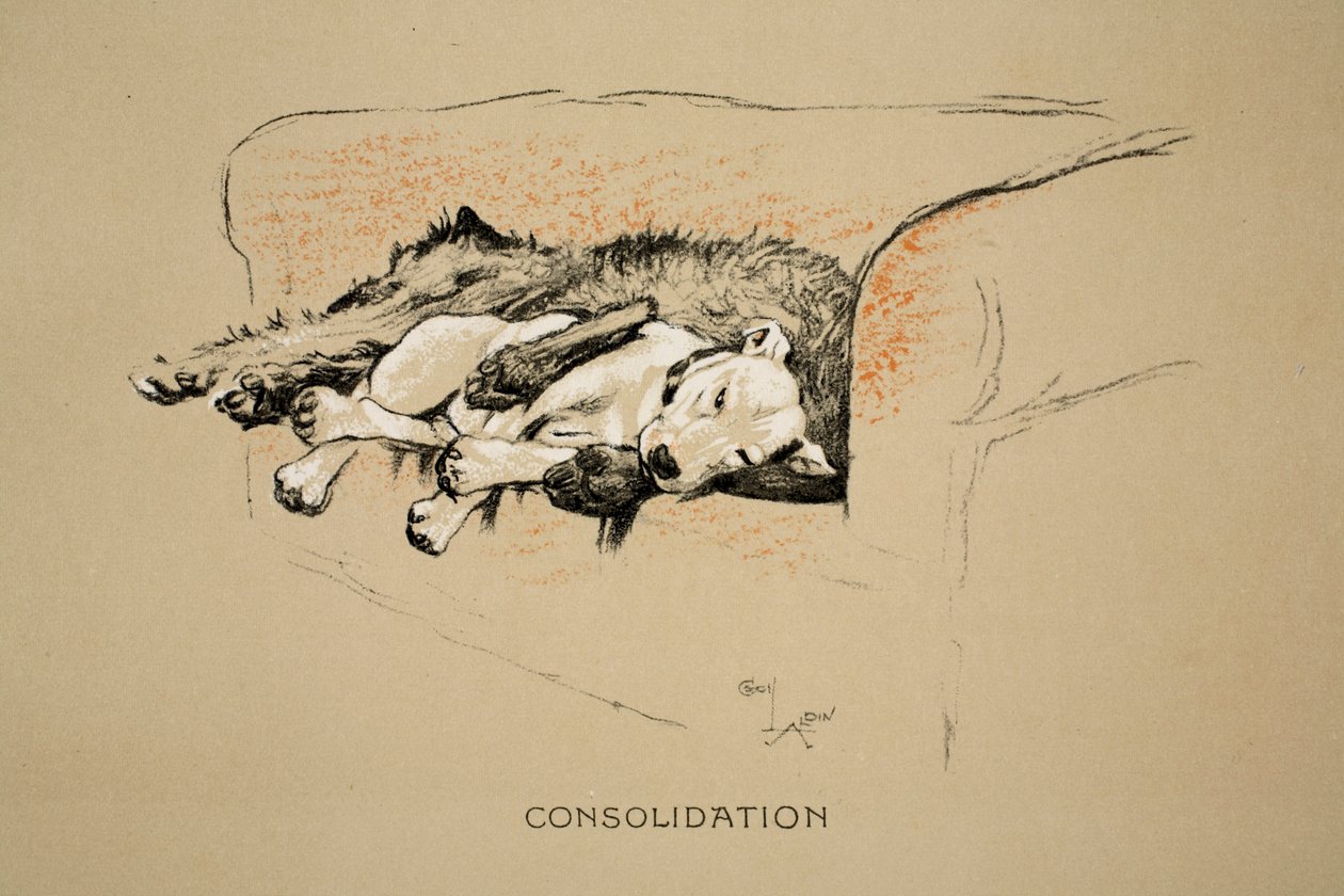 Consolazione, 1930, 1ª edizione di 