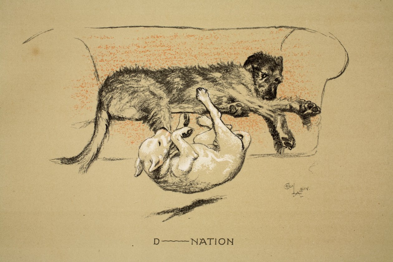 D--nation, 1930, 1ª edizione di 