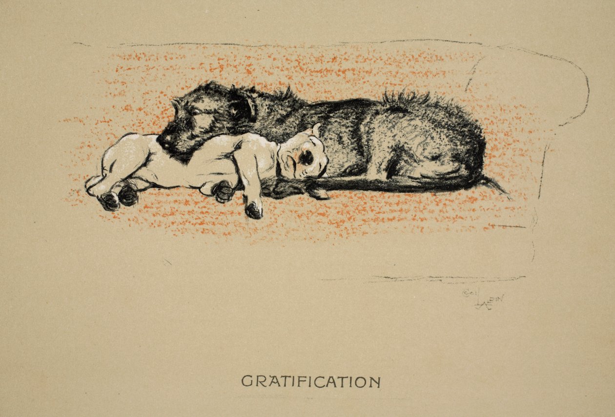 Gratificazione, 1930, 1ª edizione di 