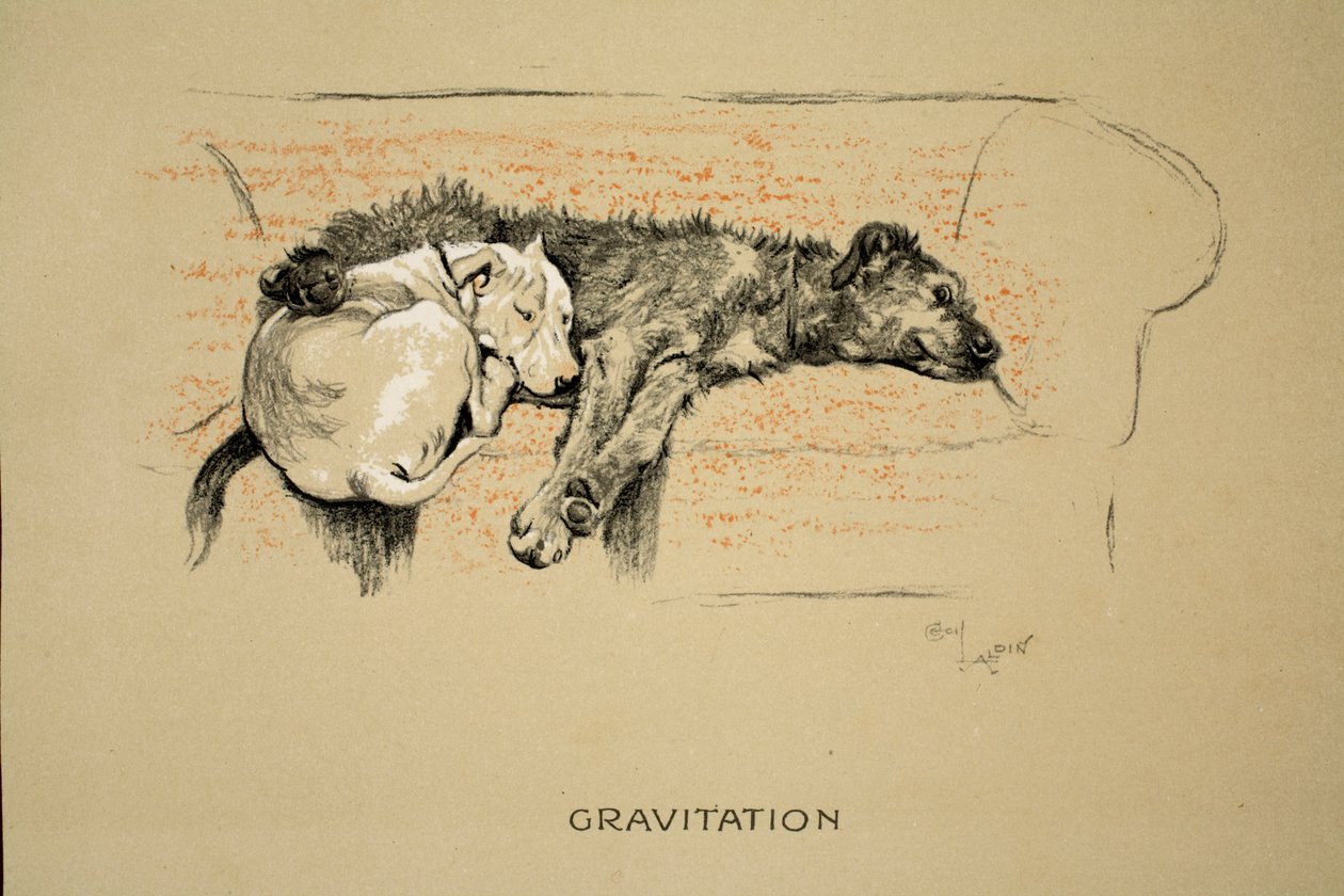 Gravità, 1930, 1ª edizione di 