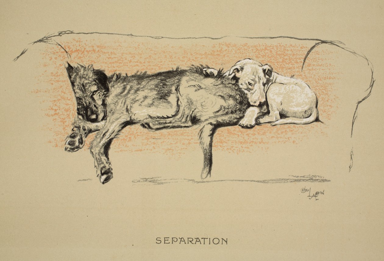Separazione, 1930, 1ª edizione di 