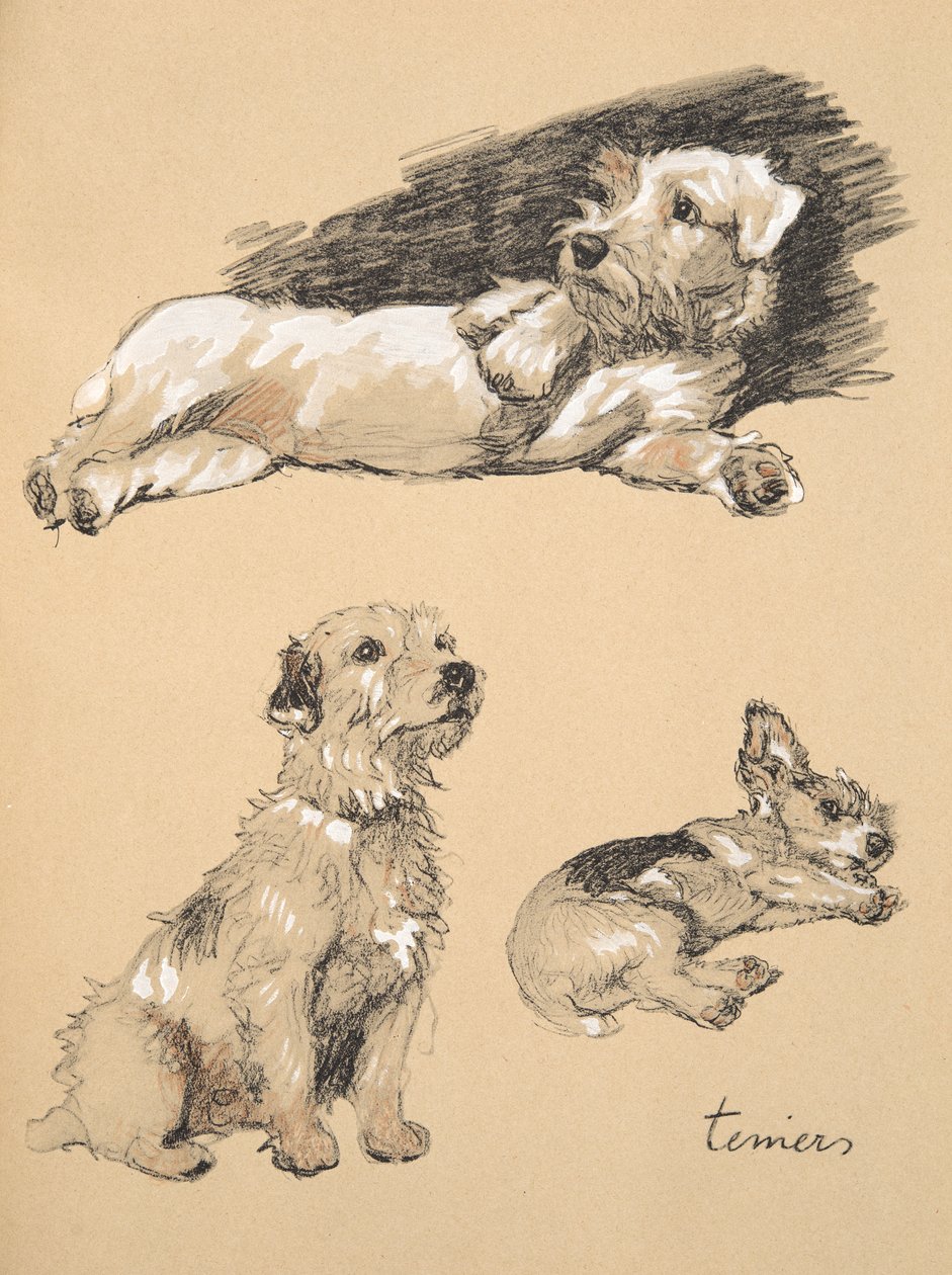 Terrier, 1930, Illustrazioni dal suo Sketch Book usato per 