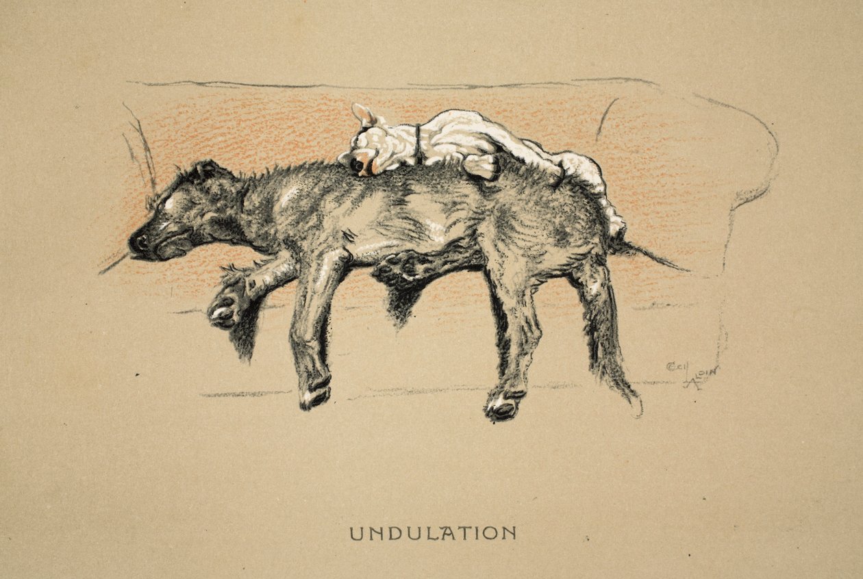 Ondulazione, 1930, 1ª edizione di 