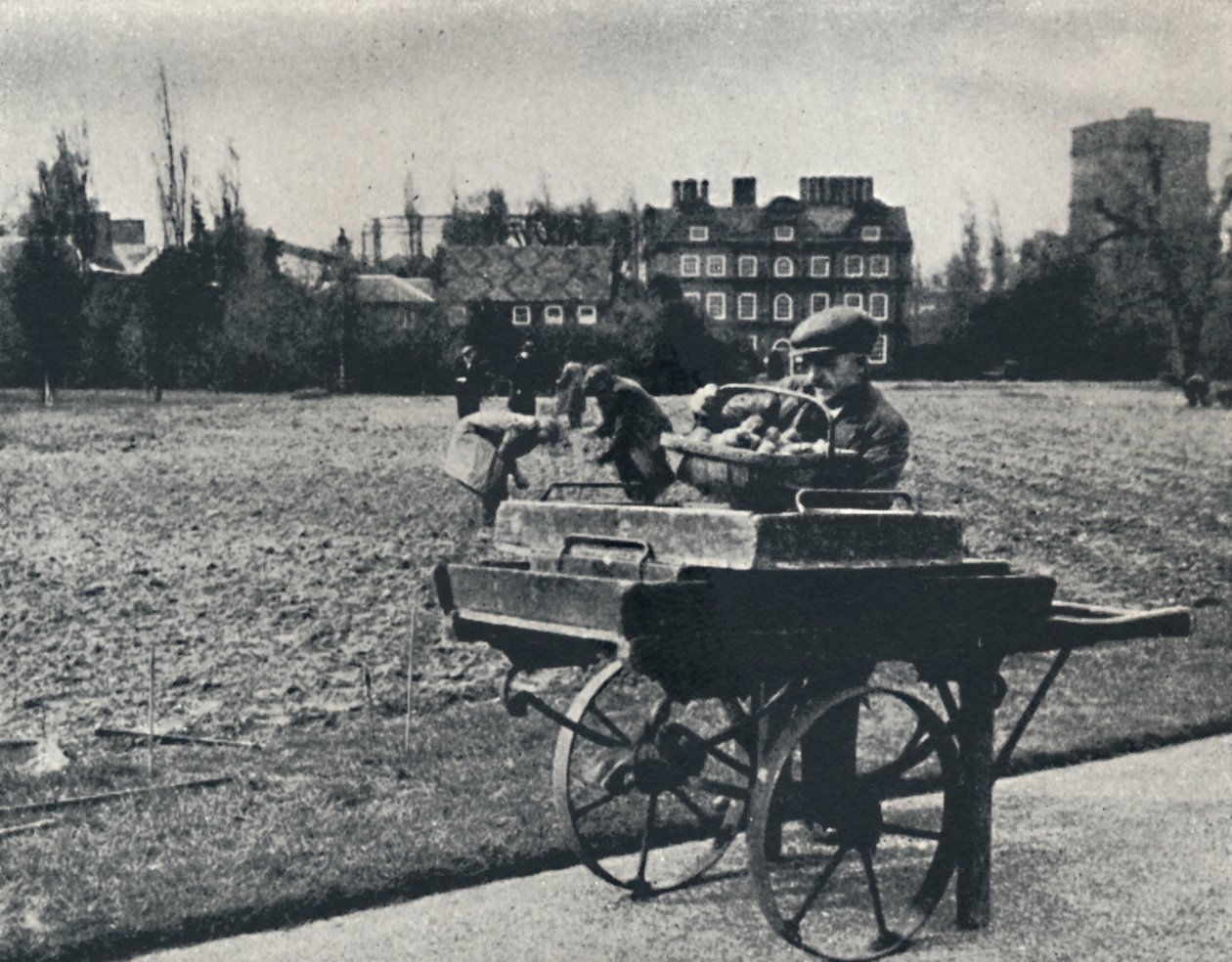 Patate nei Giardini di Kew da Cecil Beaton