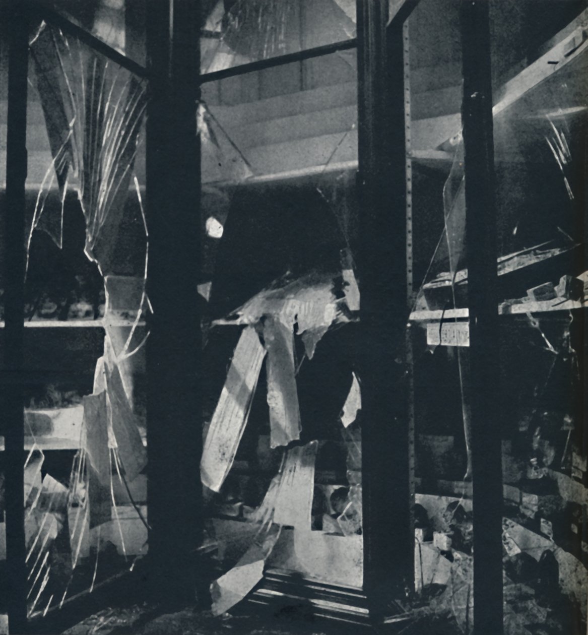 Vetrine nel Museo di Storia Naturale, 1941 da Cecil Beaton