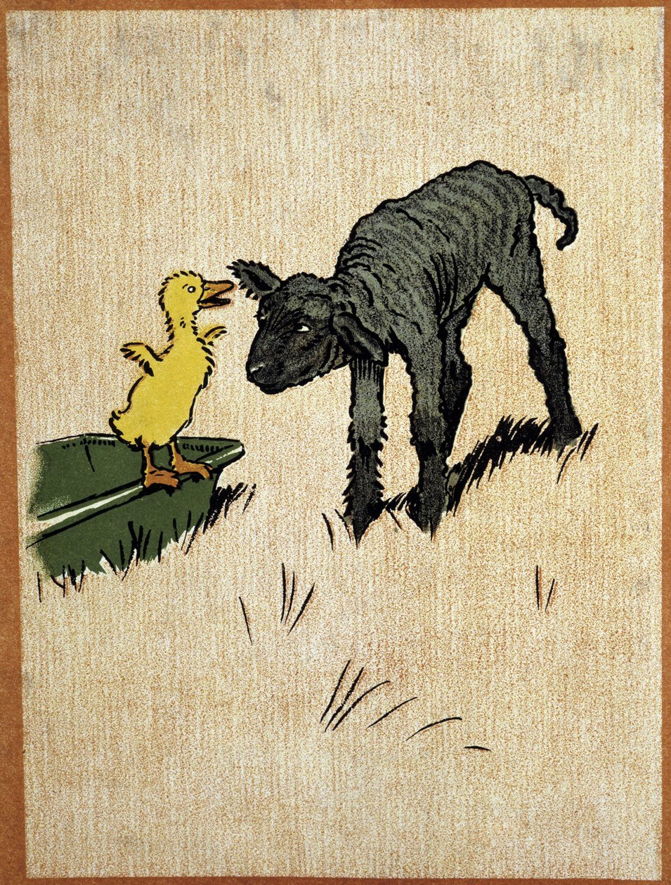 Agnello nero e anatroccolo - disegno di Aldin da Cecil Charles Windsor Aldin
