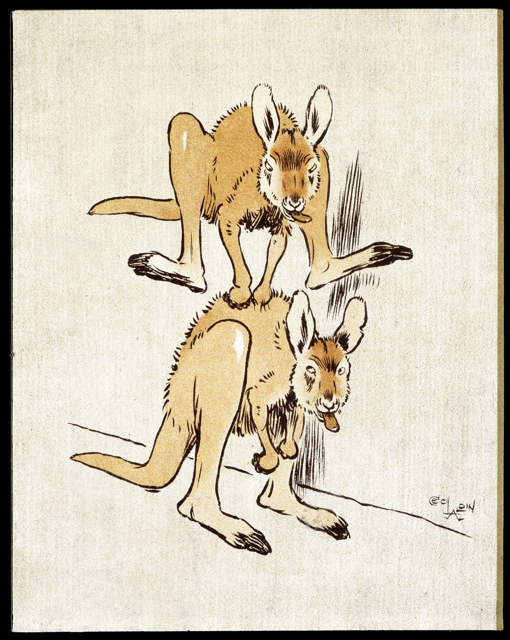 Canguri comici. Due canguri giocano a saltare la pecora. da Cecil Charles Windsor Aldin