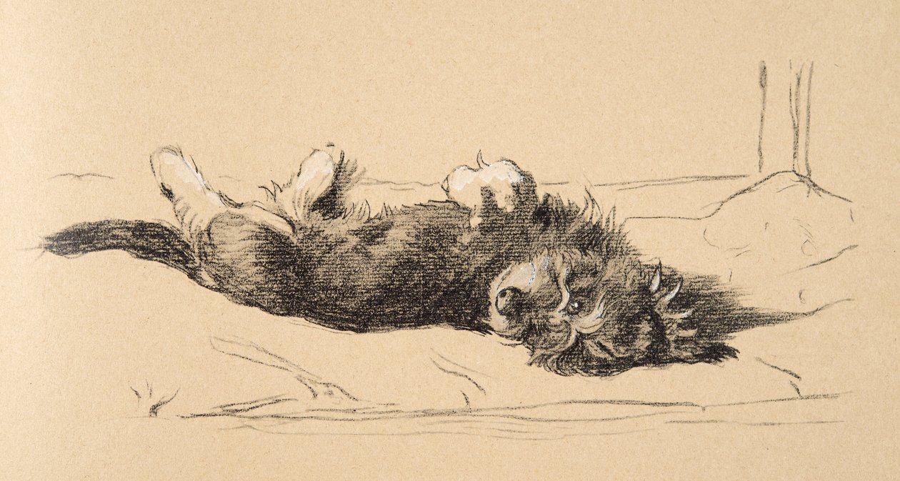 Cucciolo di Bassotto Ruvido (dettaglio), 1930, Illustrazioni dal suo Sketch Book usato per Just Among Friends, Aldin, Cecil Charles Windsor (1870-1935), successivamente pubblicato da Eyre and Spottiswoode Limited, 1934 da Cecil Charles Windsor Aldin