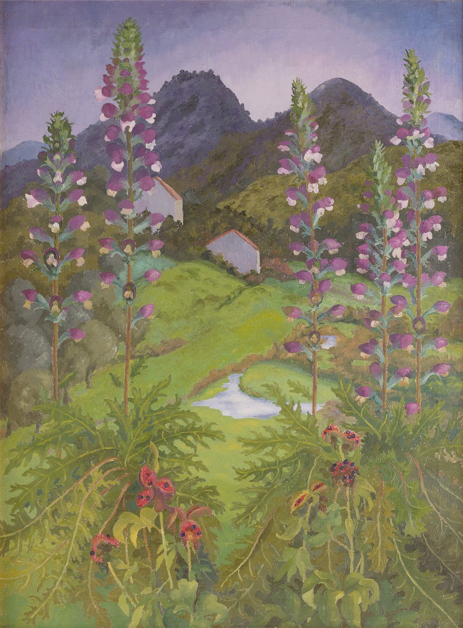 Acanto da Cedric Morris
