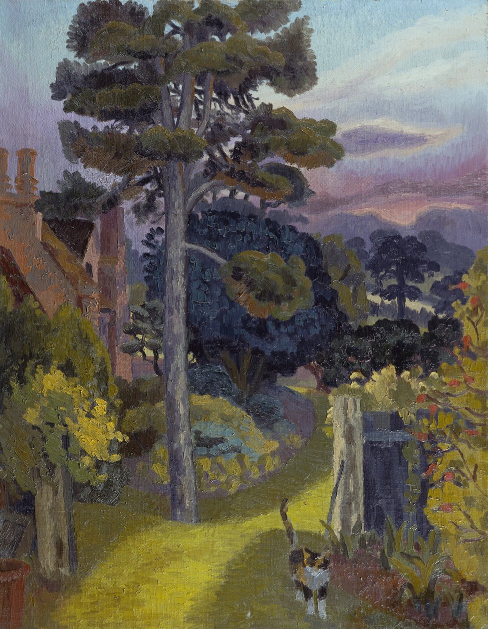 Pansy, Il gatto dell