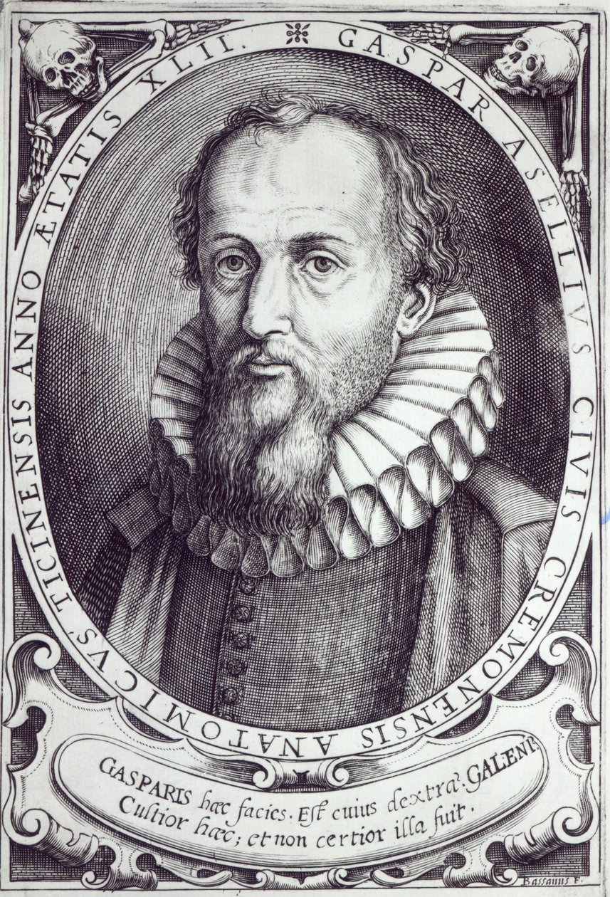 Gaspare Aselli da Cesare Bassano