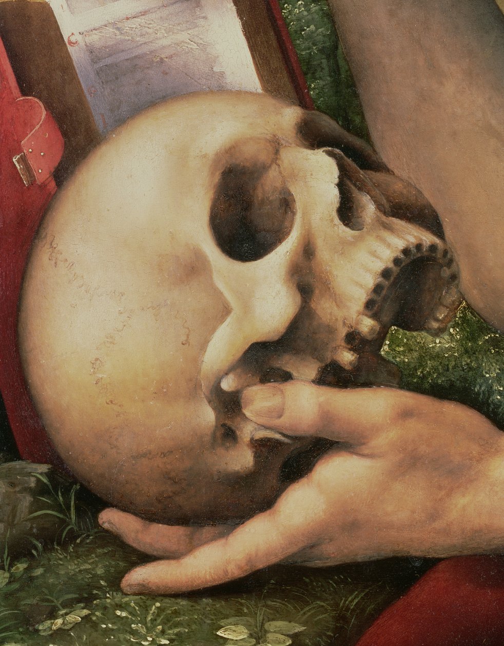 San Girolamo, dettaglio del teschio (dettaglio) da Cesare da Sesto