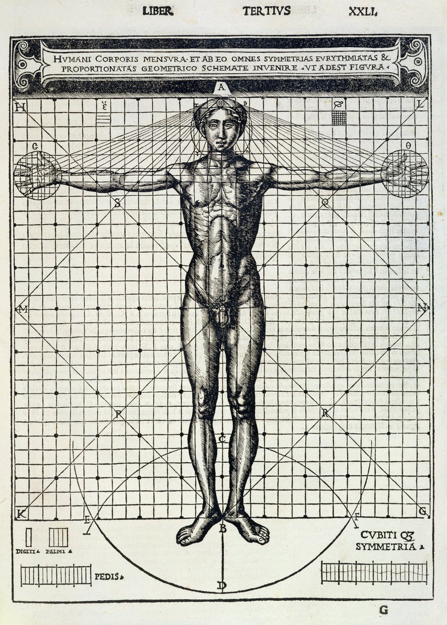 Proporzioni ideali basate sul corpo umano, da 